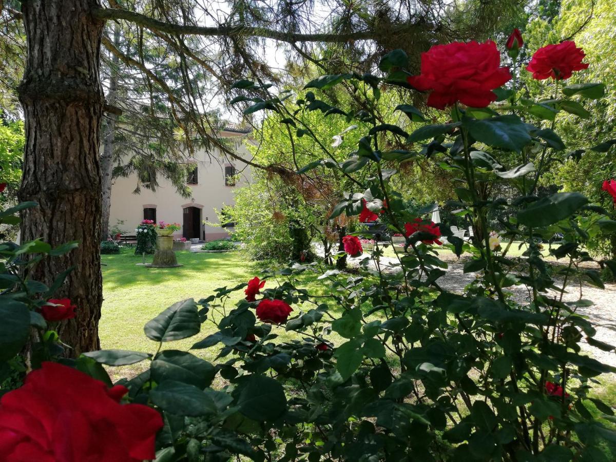 B&B Casa Manuela Mantua Exterior foto